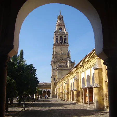 The Cathedral *